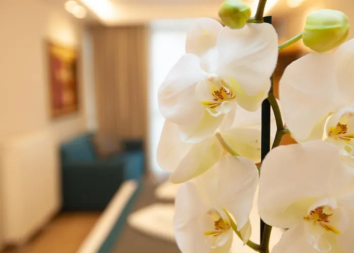 No21 Luxury * Thessaloniki